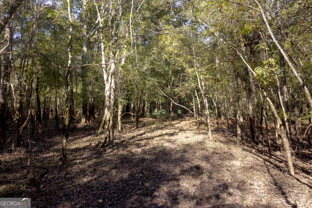 0 Abbeville HWY Rhine, GA 31077