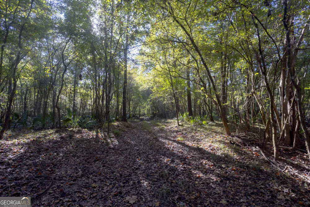 0 Abbeville HWY Rhine, GA 31077