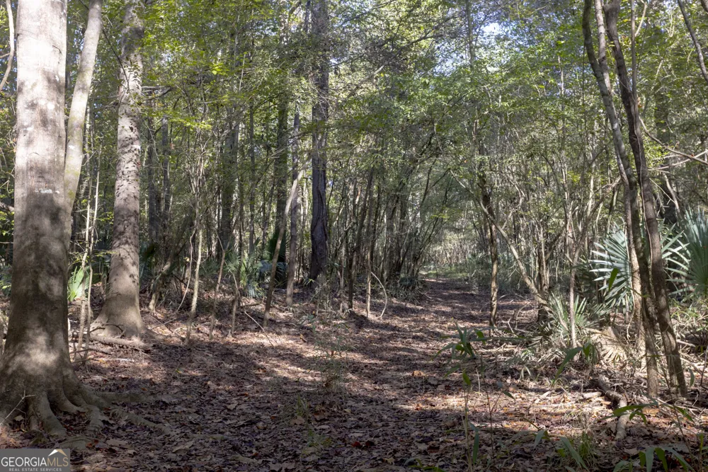 0 Abbeville HWY Rhine, GA 31077