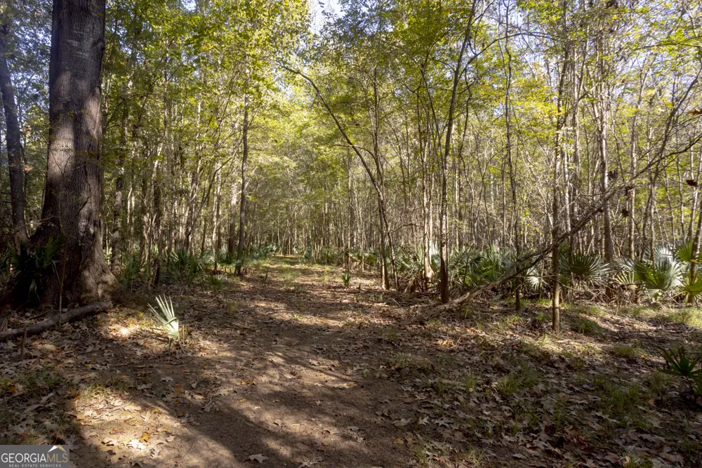 0 Abbeville HWY Rhine, GA 31077