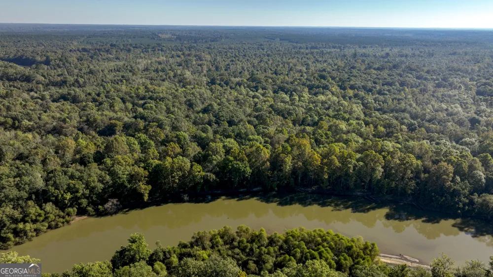 0 Abbeville HWY Rhine, GA 31077