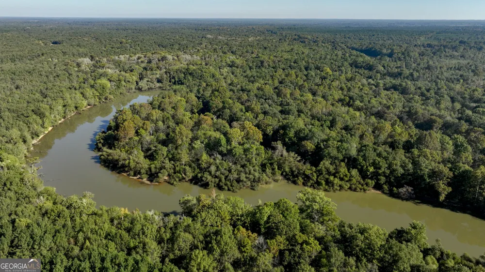 0 Abbeville HWY Rhine, GA 31077
