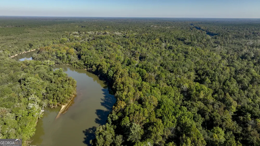 0 Abbeville HWY Rhine, GA 31077