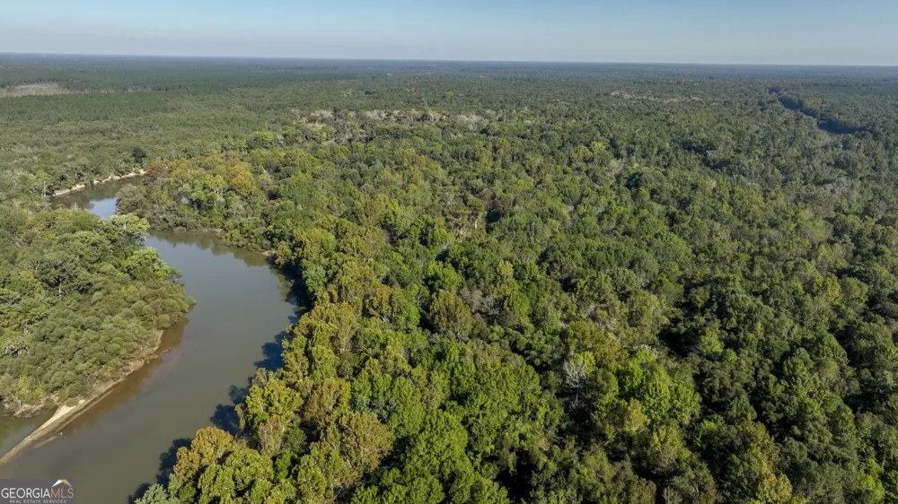 0 Abbeville HWY Rhine, GA 31077