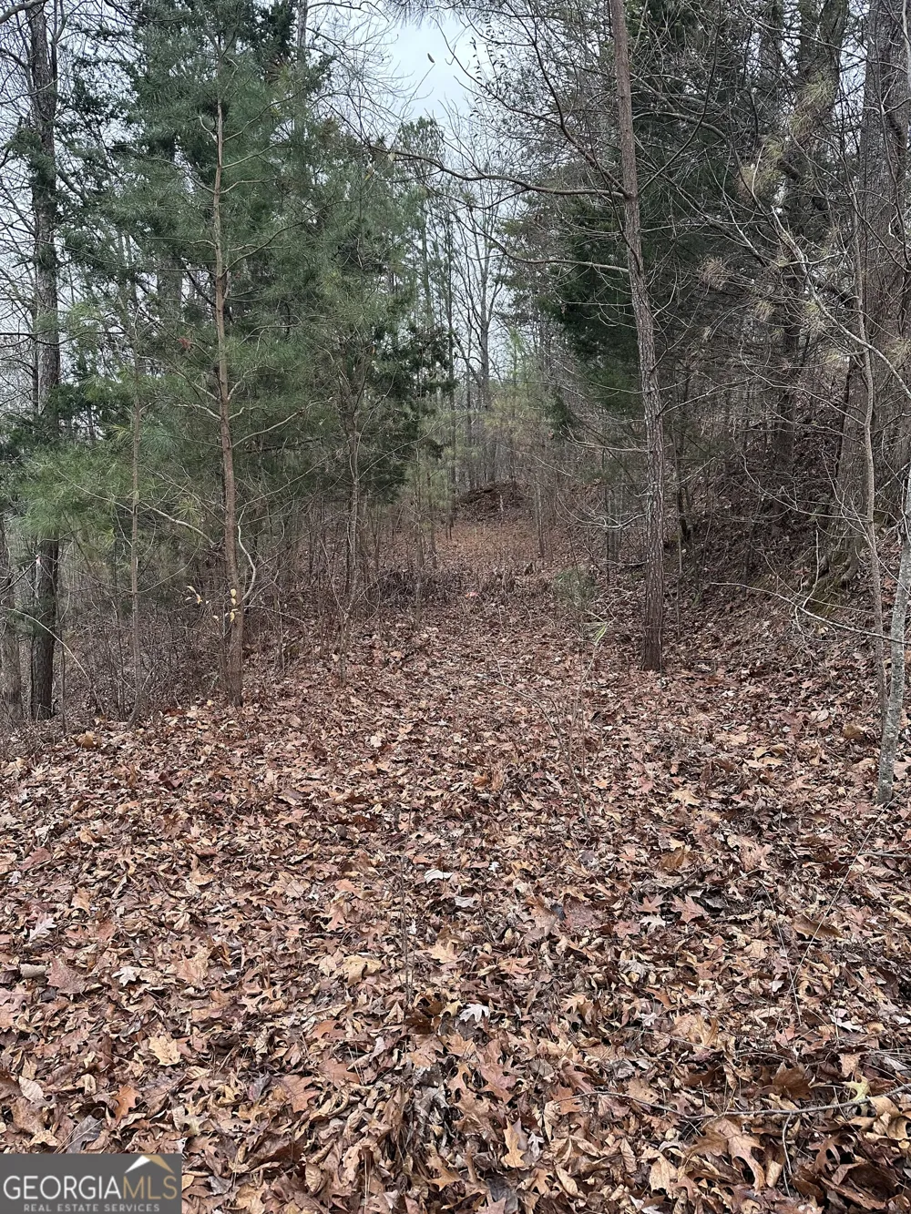 306 Oberlin CT Ranger, GA 30734