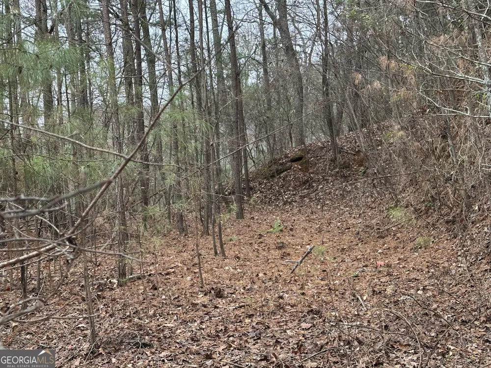 306 Oberlin CT Ranger, GA 30734