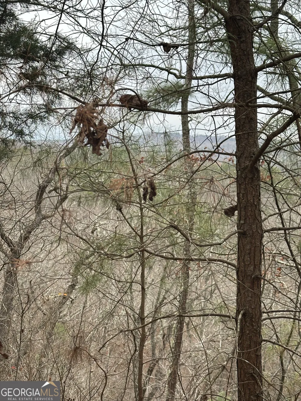 306 Oberlin CT Ranger, GA 30734