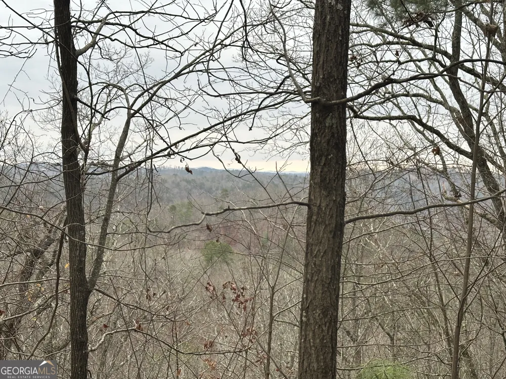 306 Oberlin CT Ranger, GA 30734