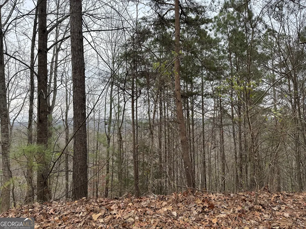 306 Oberlin CT Ranger, GA 30734