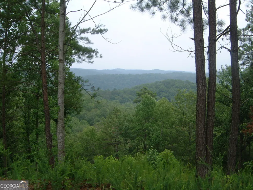 306 Oberlin CT Ranger, GA 30734