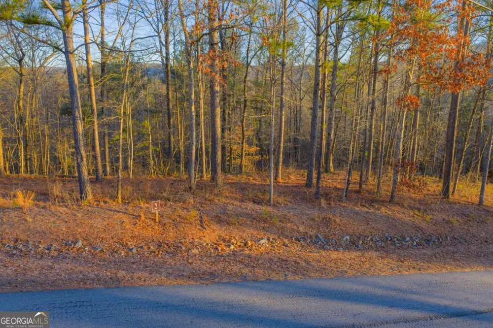 LOT 2 Blalock Mountain RD Talking Rock, GA 30175