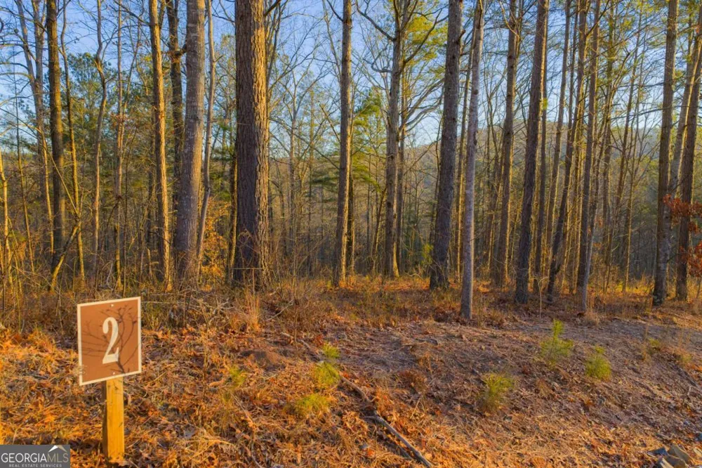 LOT 2 Blalock Mountain RD Talking Rock, GA 30175