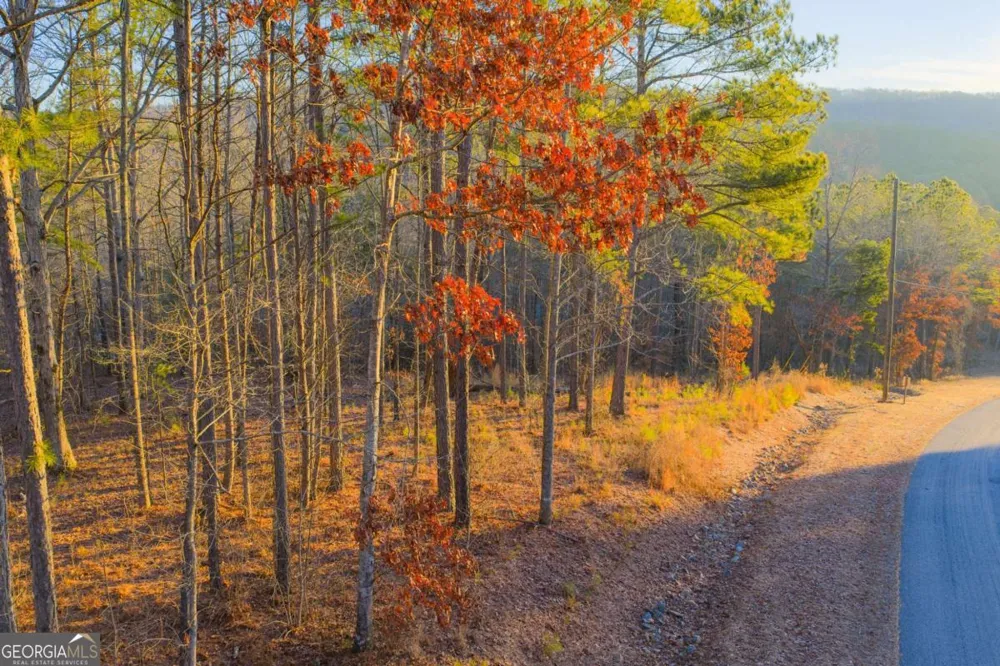 LOT 2 Blalock Mountain RD Talking Rock, GA 30175