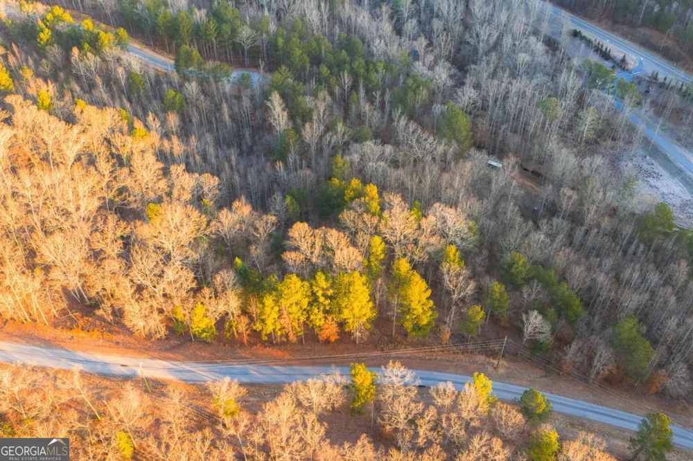 LOT 2 Blalock Mountain RD Talking Rock, GA 30175