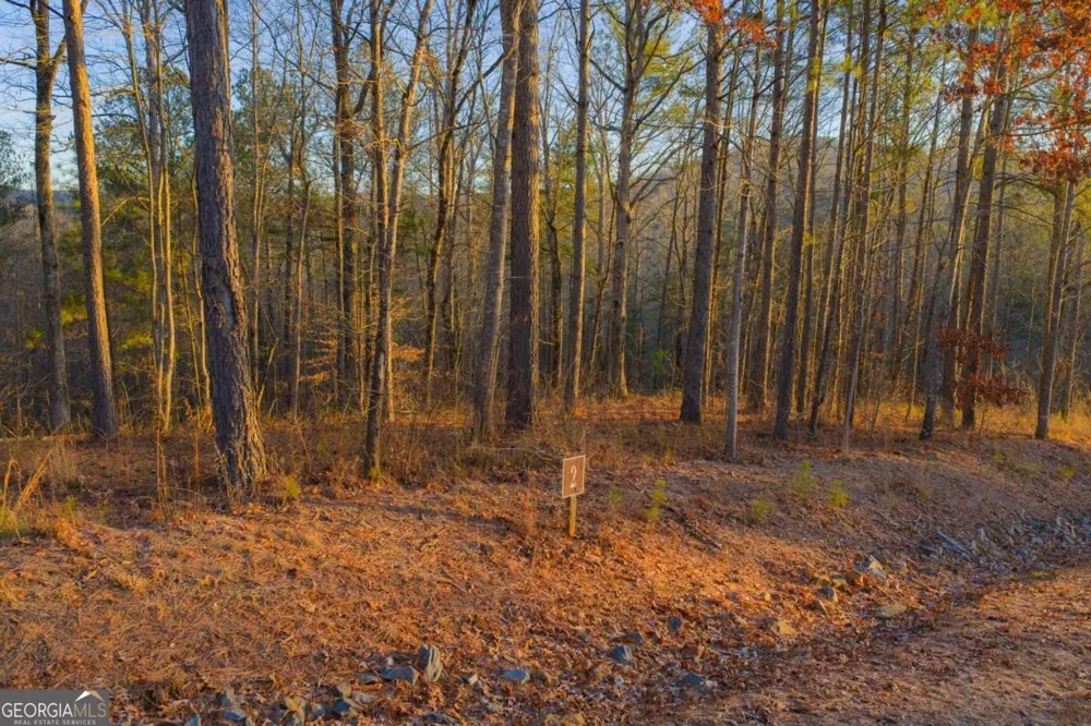 LOT 2 Blalock Mountain RD Talking Rock, GA 30175