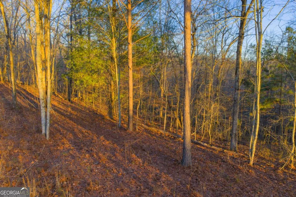 LOT 2 Blalock Mountain RD Talking Rock, GA 30175