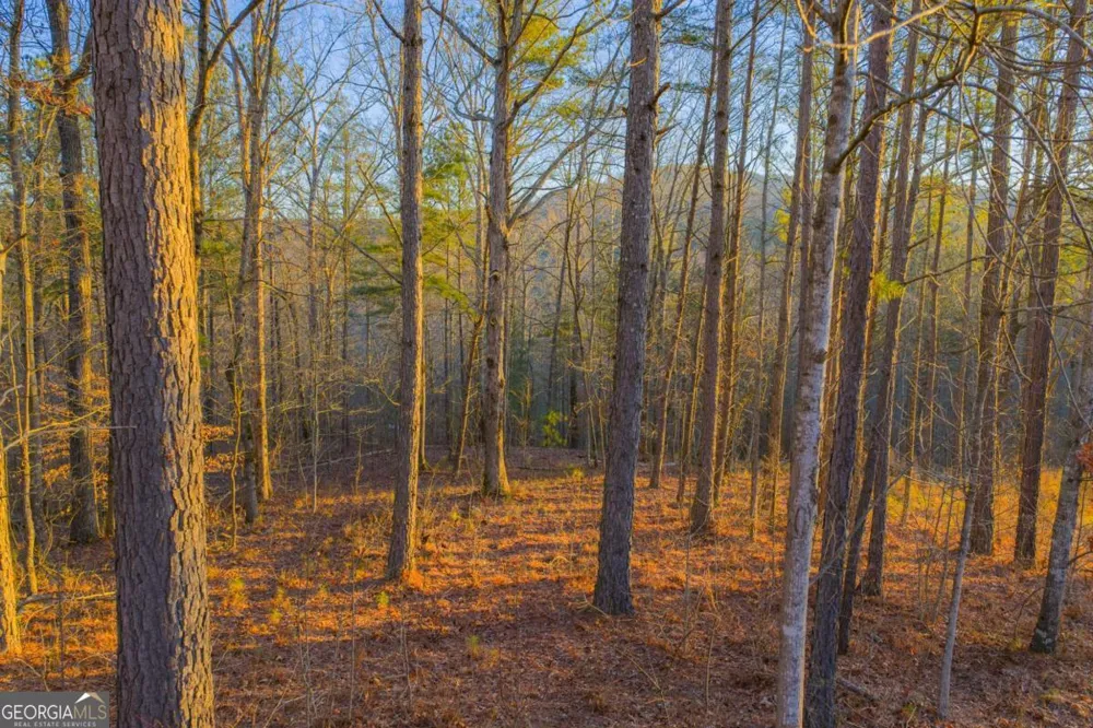 LOT 2 Blalock Mountain RD Talking Rock, GA 30175