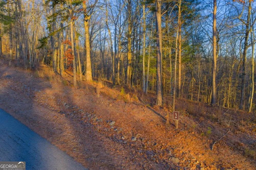 LOT 2 Blalock Mountain RD Talking Rock, GA 30175
