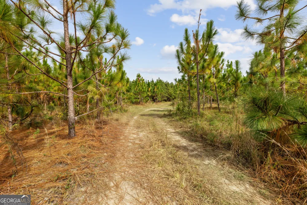 0 Highway 297 Soperton, GA 30457