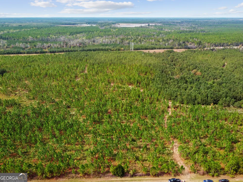 0 Highway 297 Soperton, GA 30457