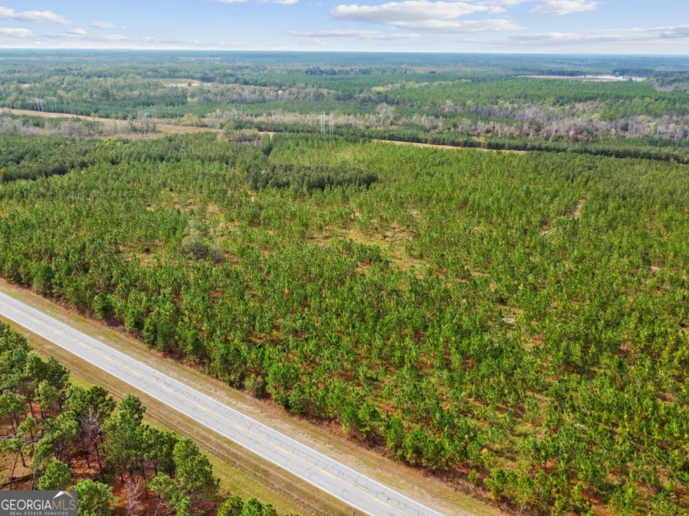 0 Hwy 297 Soperton, GA 30457