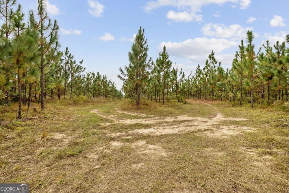 0 Hwy 297 Soperton, GA 30457