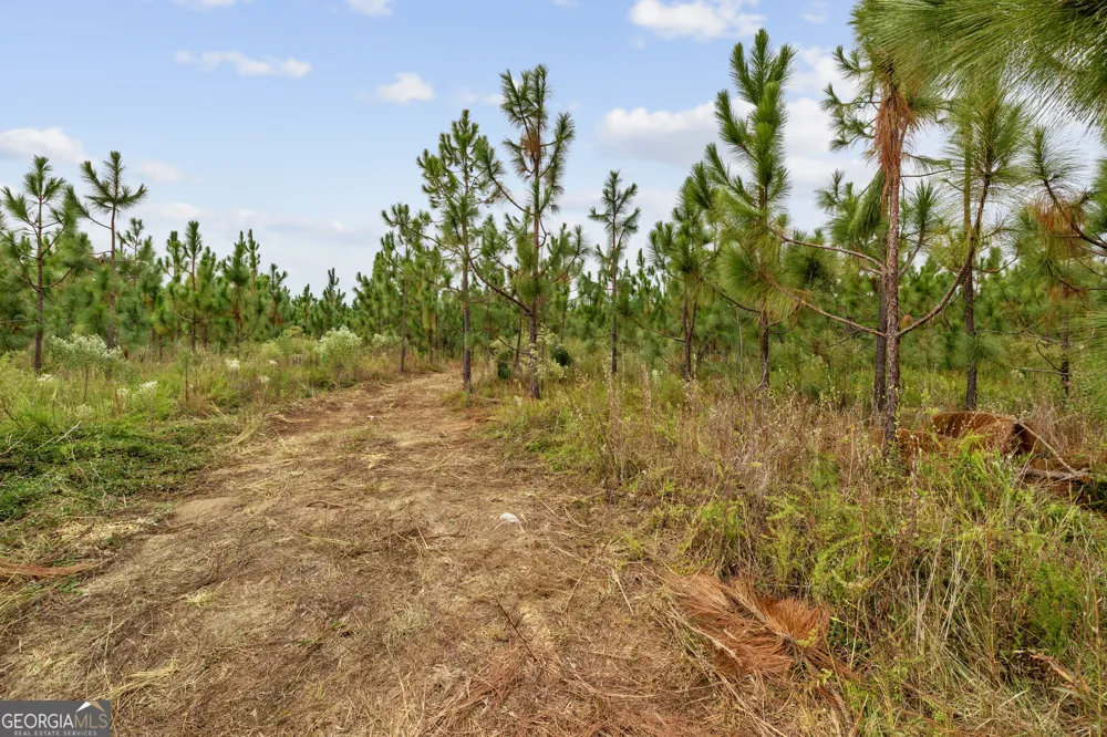 0 Hwy 297 Soperton, GA 30457