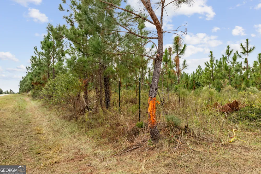 0 Highway 297 Soperton, GA 30457