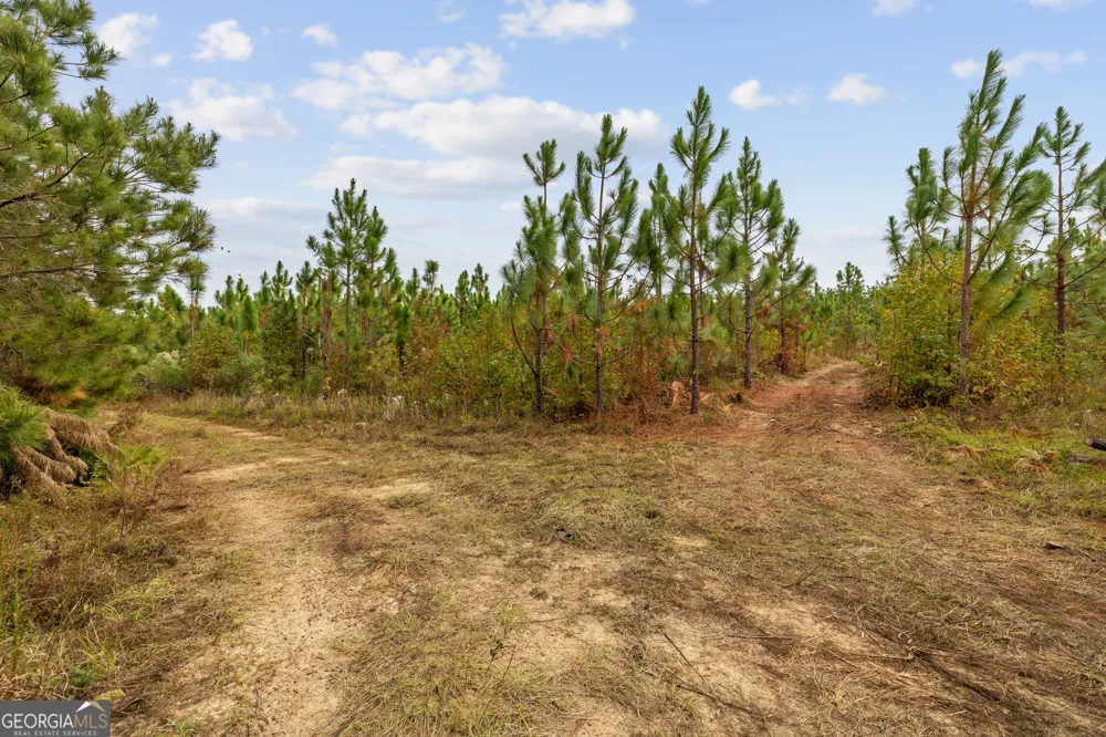 0 Highway 297 Soperton, GA 30457