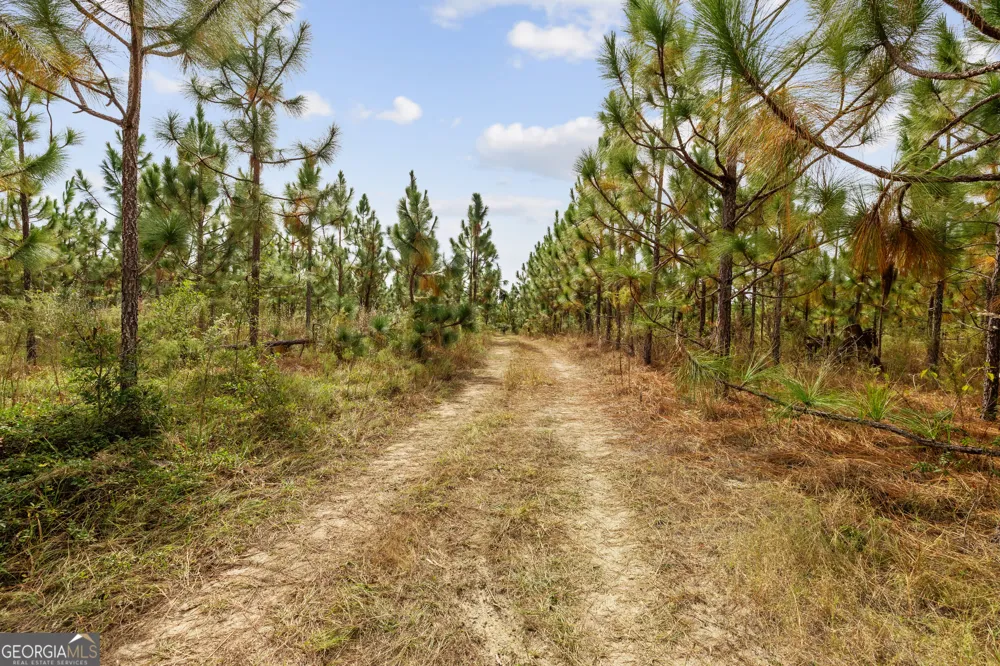0 Highway 297 Soperton, GA 30457
