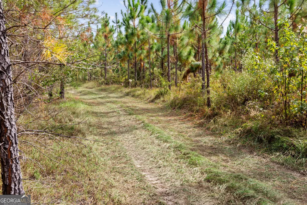0 Highway 297 Soperton, GA 30457