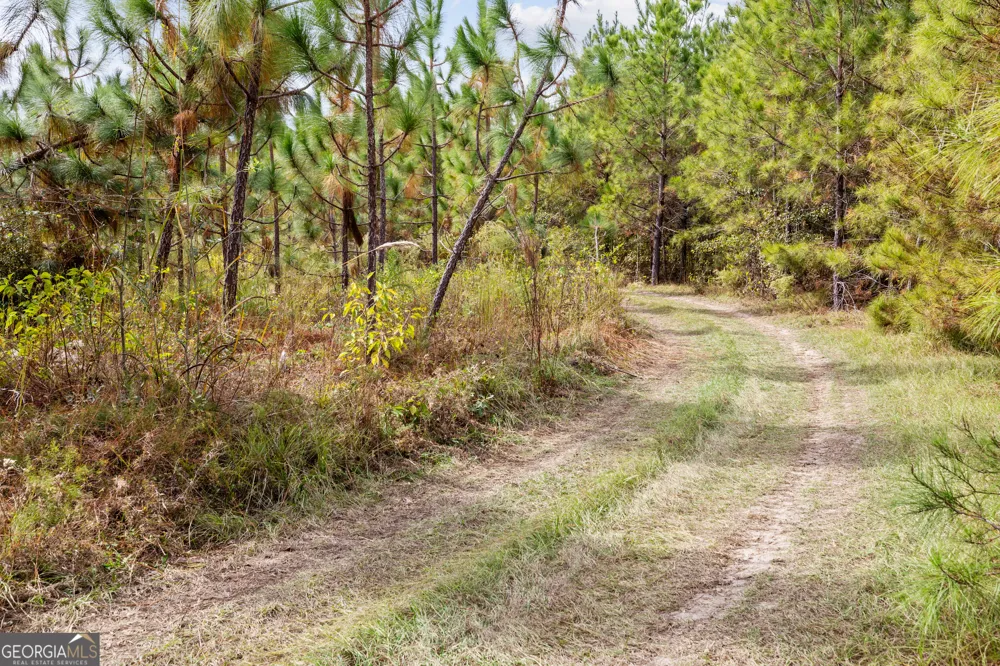 0 Highway 297 Soperton, GA 30457