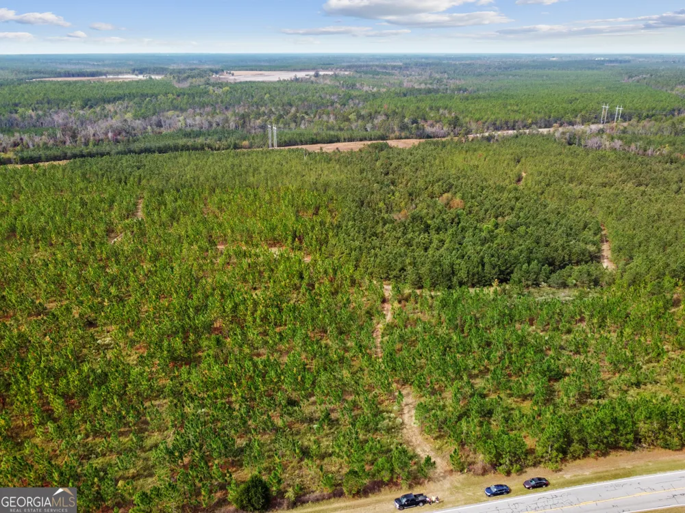 0 Highway 297 Soperton, GA 30457