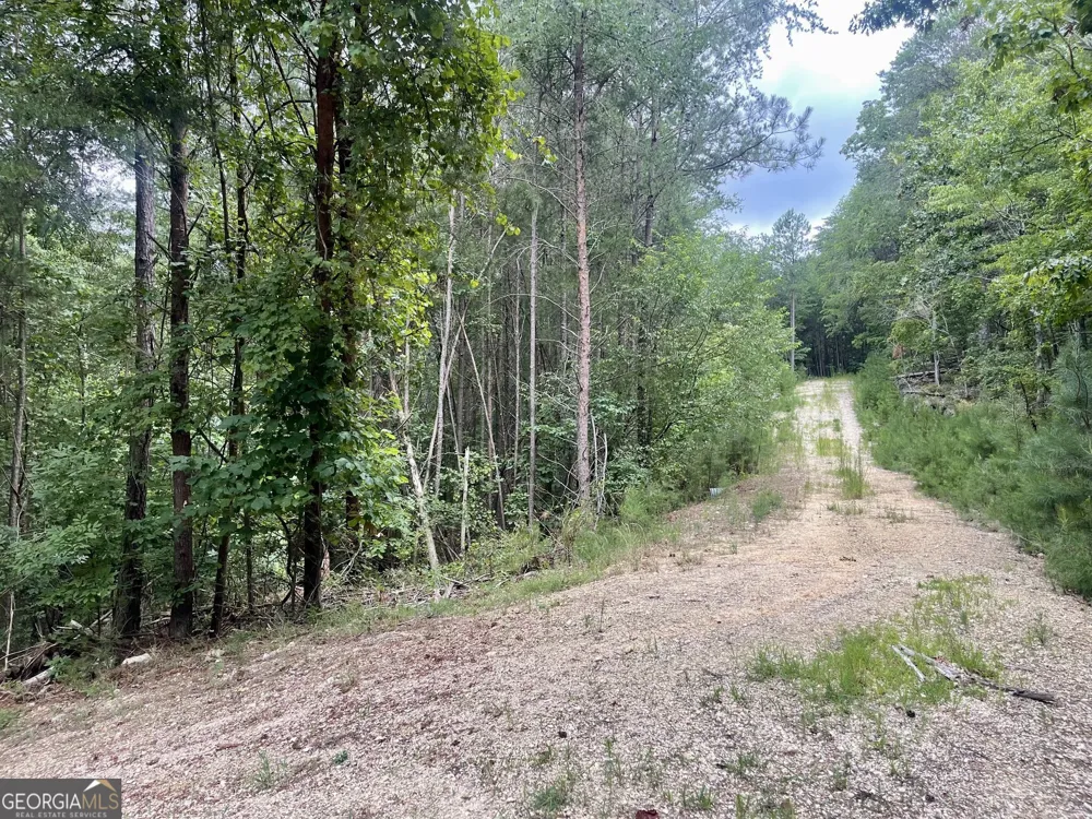0 White Oak RD Summerville, GA 30747