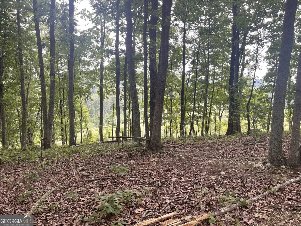 0 White Oak RD Summerville, GA 30747