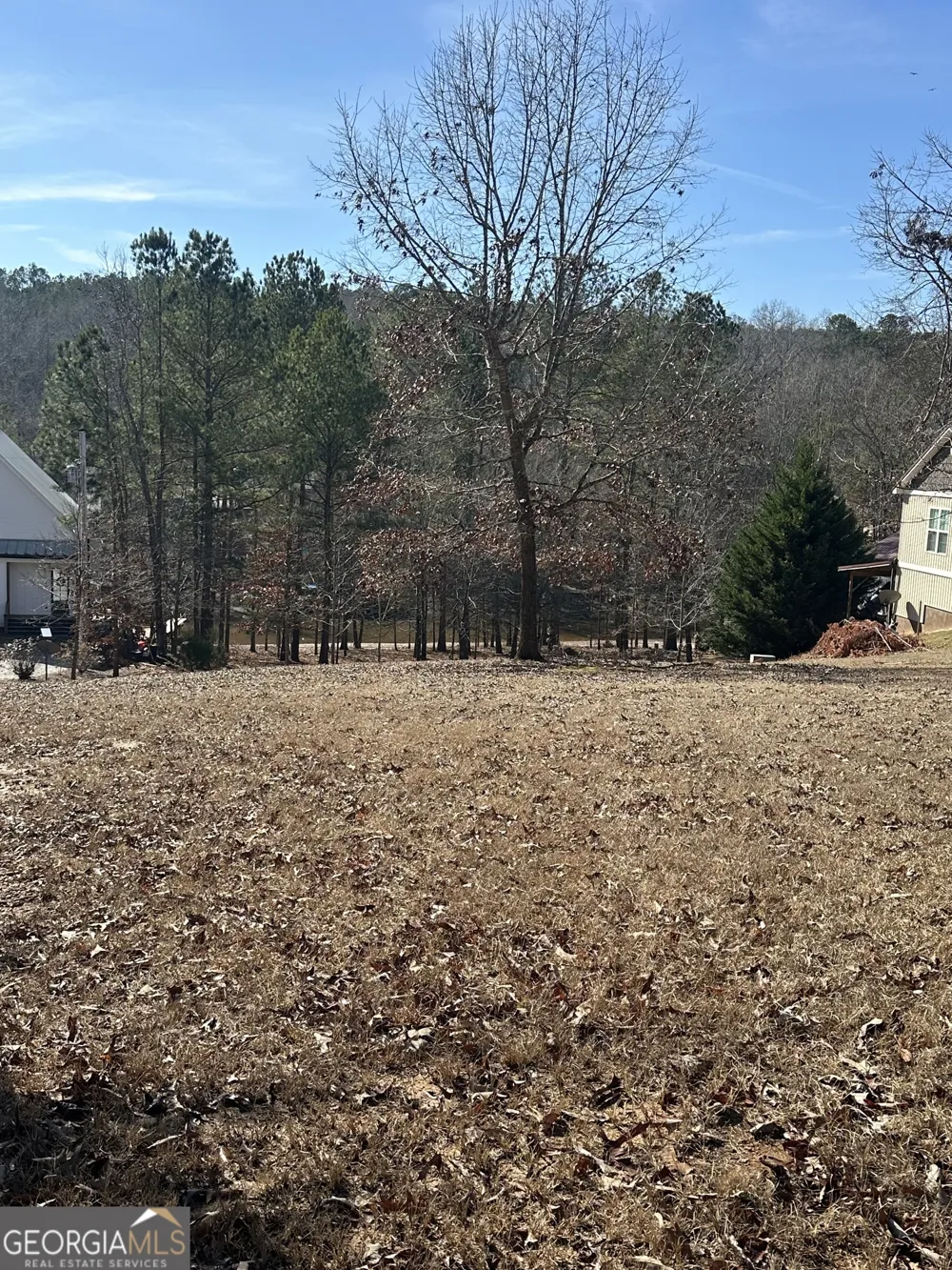 199 Lakewood DR Wedowee, AL 36278
