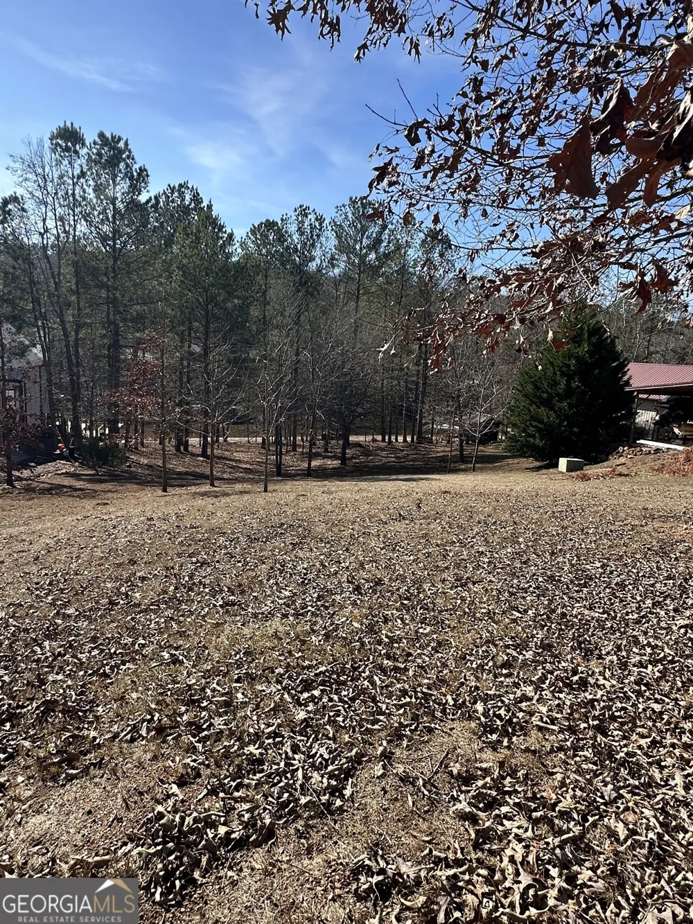 199 Lakewood DR Wedowee, AL 36278