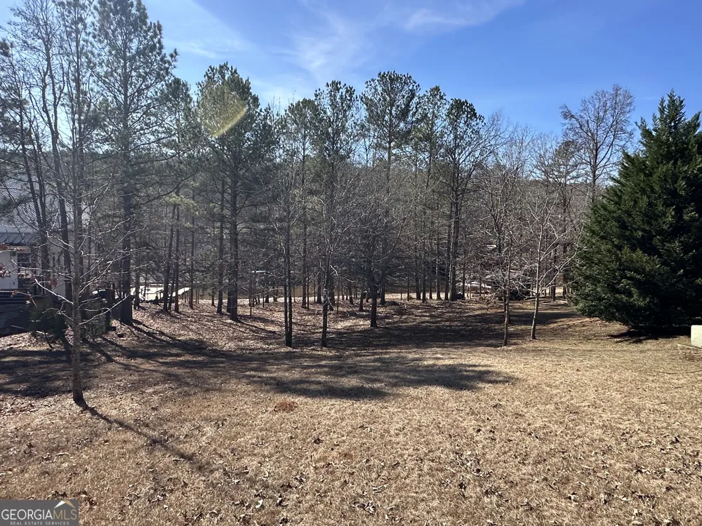 199 Lakewood DR Wedowee, AL 36278