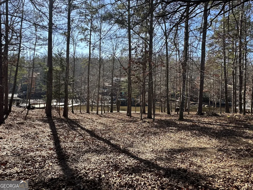 199 Lakewood DR Wedowee, AL 36278