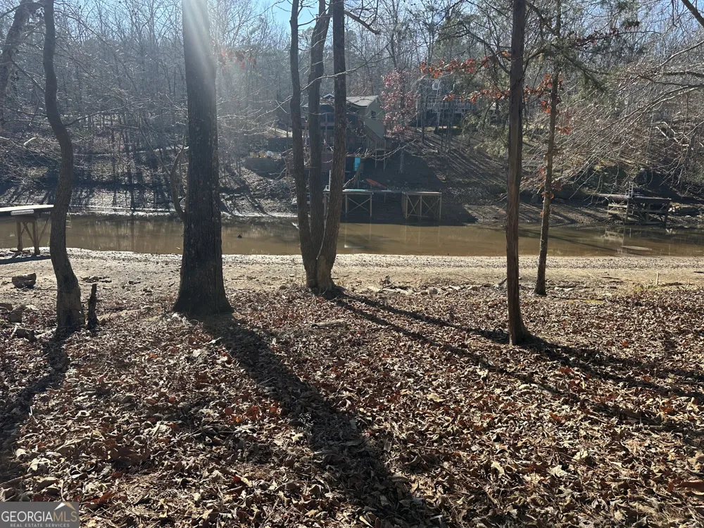 199 Lakewood DR Wedowee, AL 36278