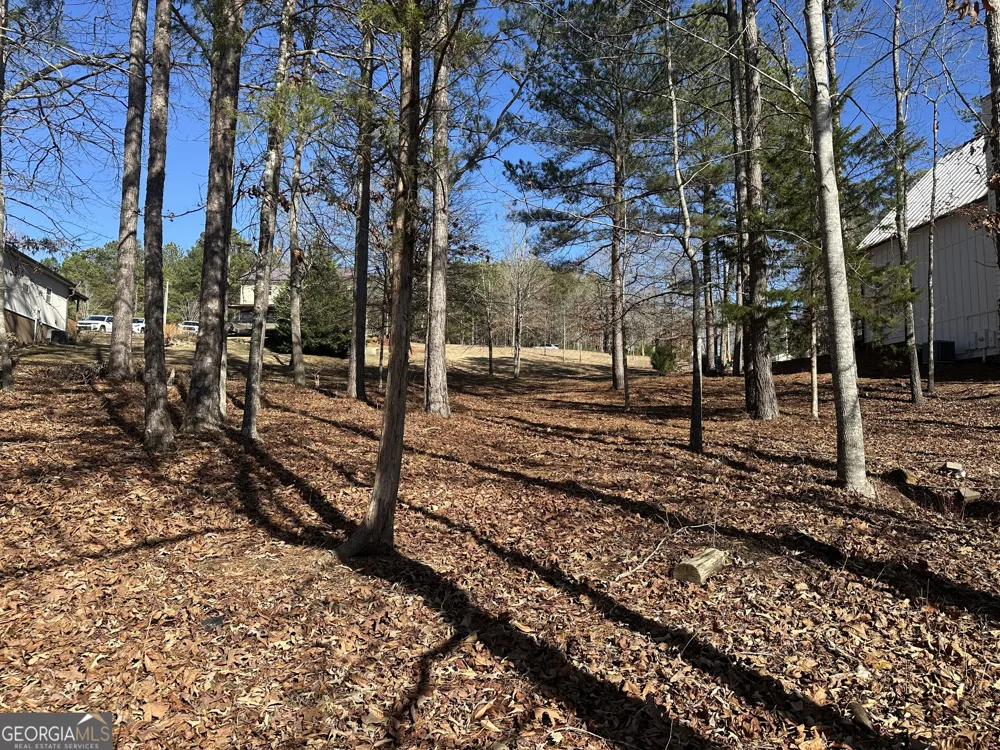 199 Lakewood DR Wedowee, AL 36278