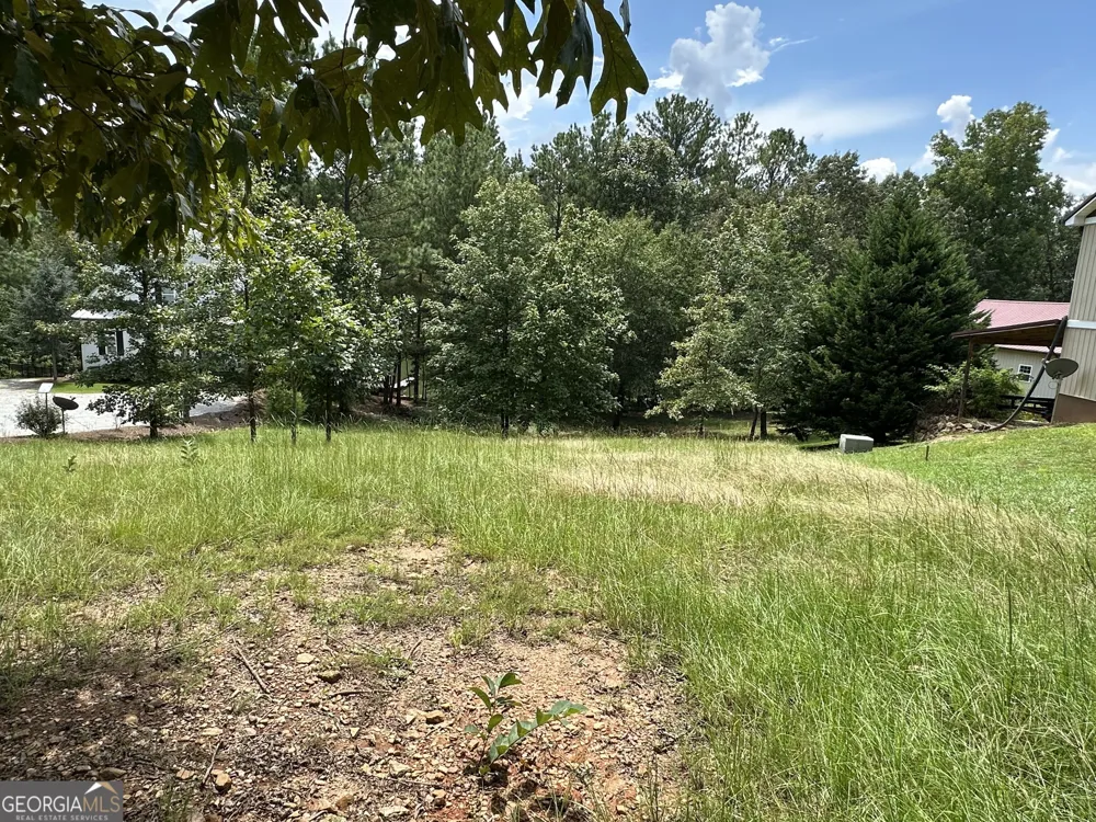 199 Lakewood DR Wedowee, AL 36278
