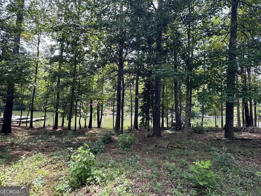 199 Lakewood DR Wedowee, AL 36278