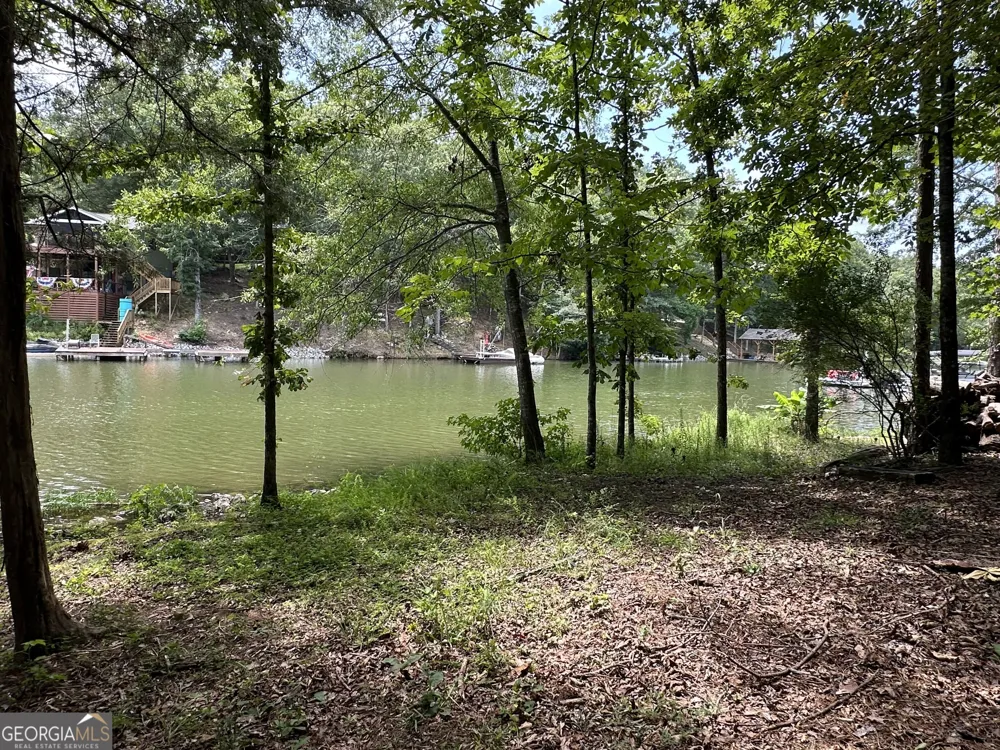 199 Lakewood DR Wedowee, AL 36278