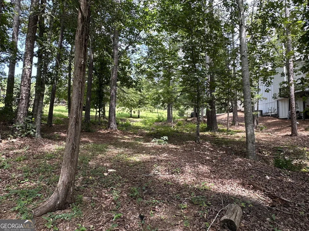 199 Lakewood DR Wedowee, AL 36278