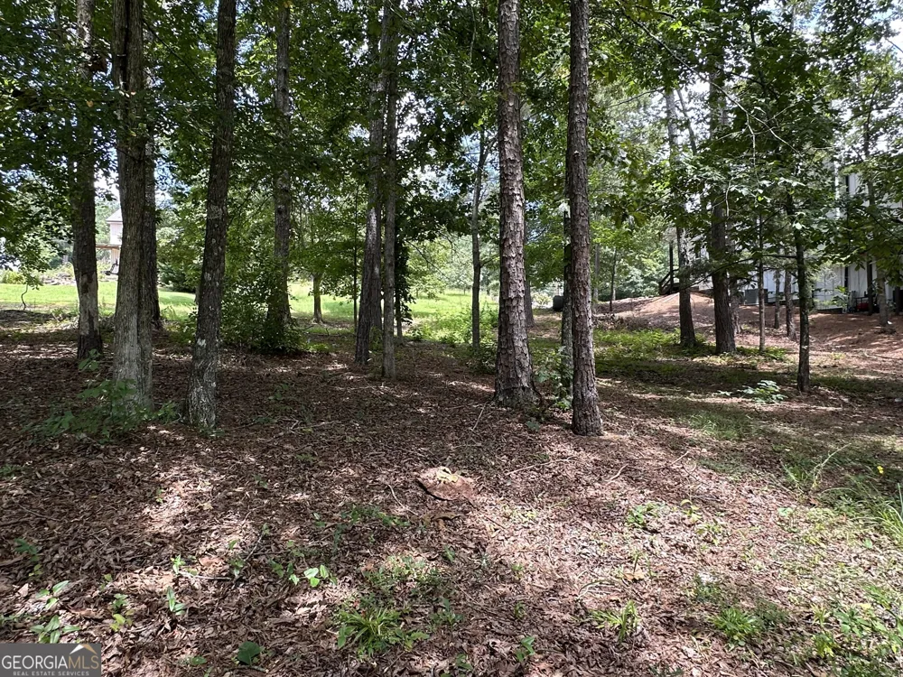 199 Lakewood DR Wedowee, AL 36278