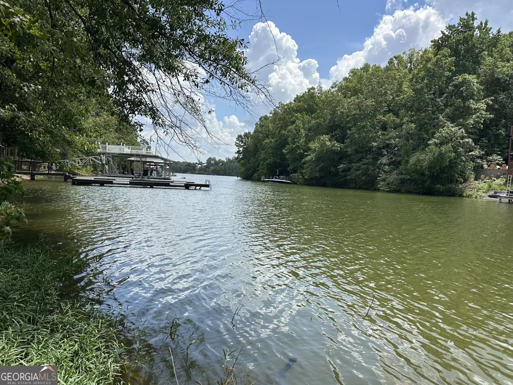 199 Lakewood DR Wedowee, AL 36278