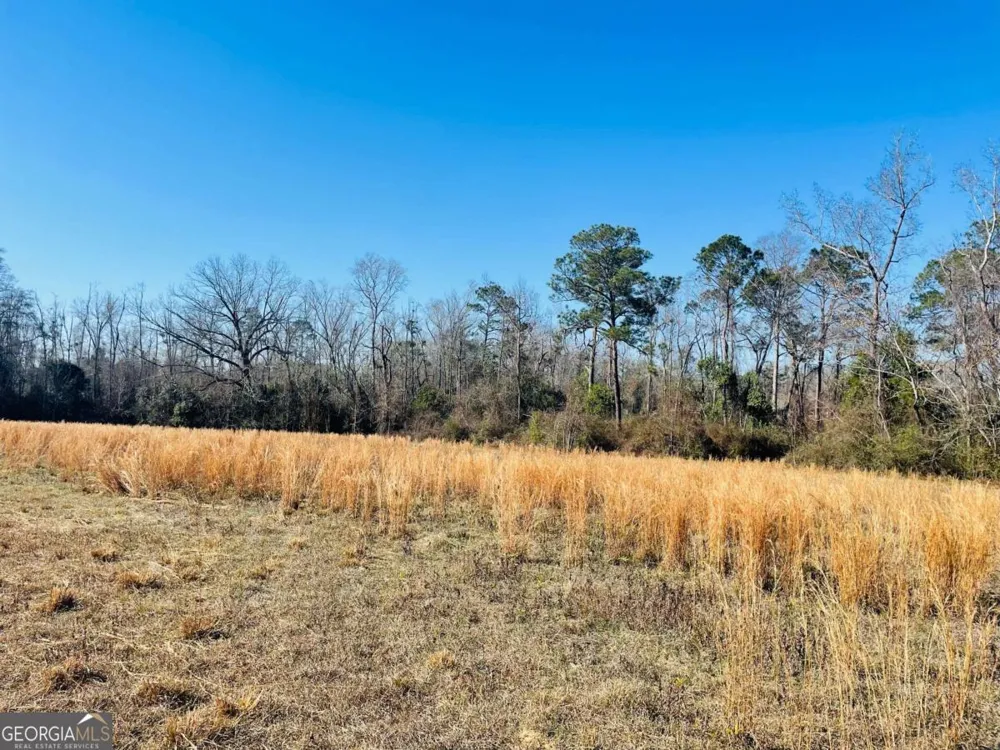 16.59AC Rosemont RD Glennville, GA 30427