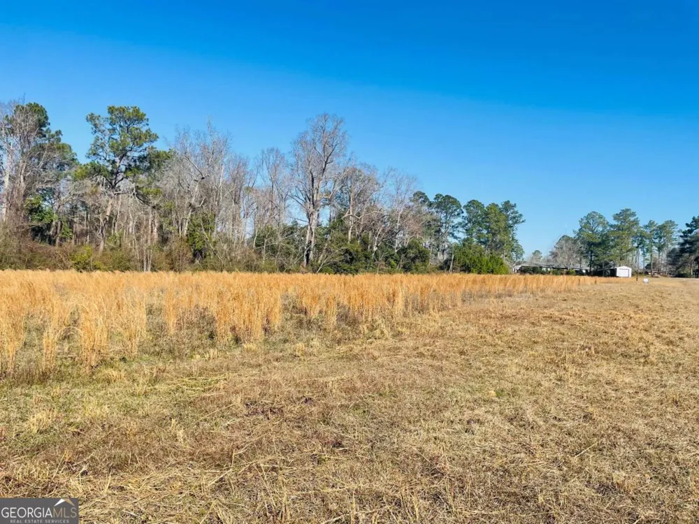 16.59AC Rosemont RD Glennville, GA 30427