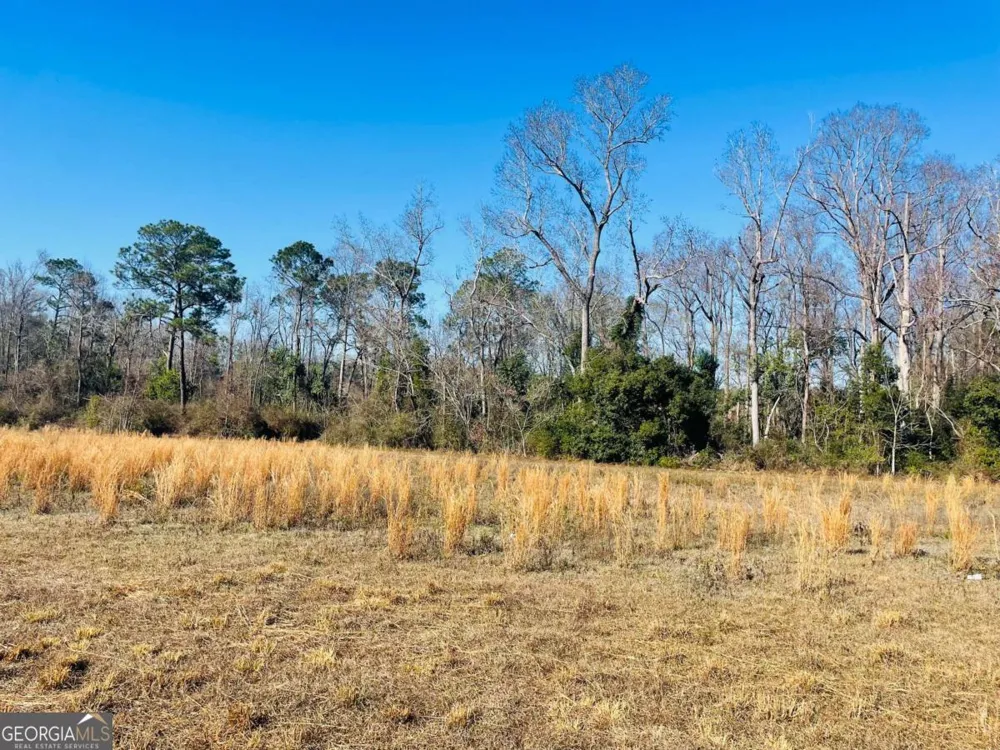 16.59AC Rosemont RD Glennville, GA 30427